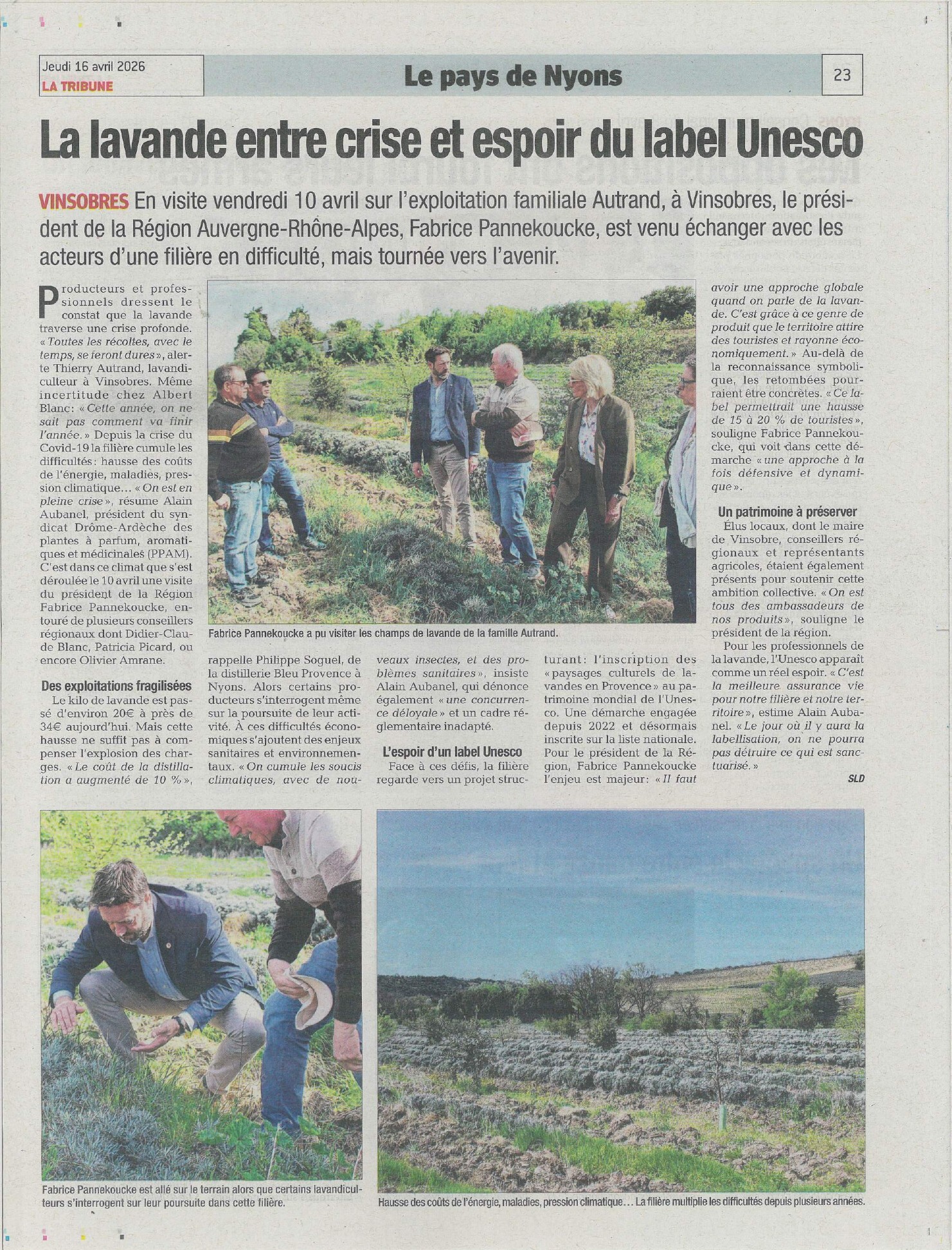Article Tribune lavandes