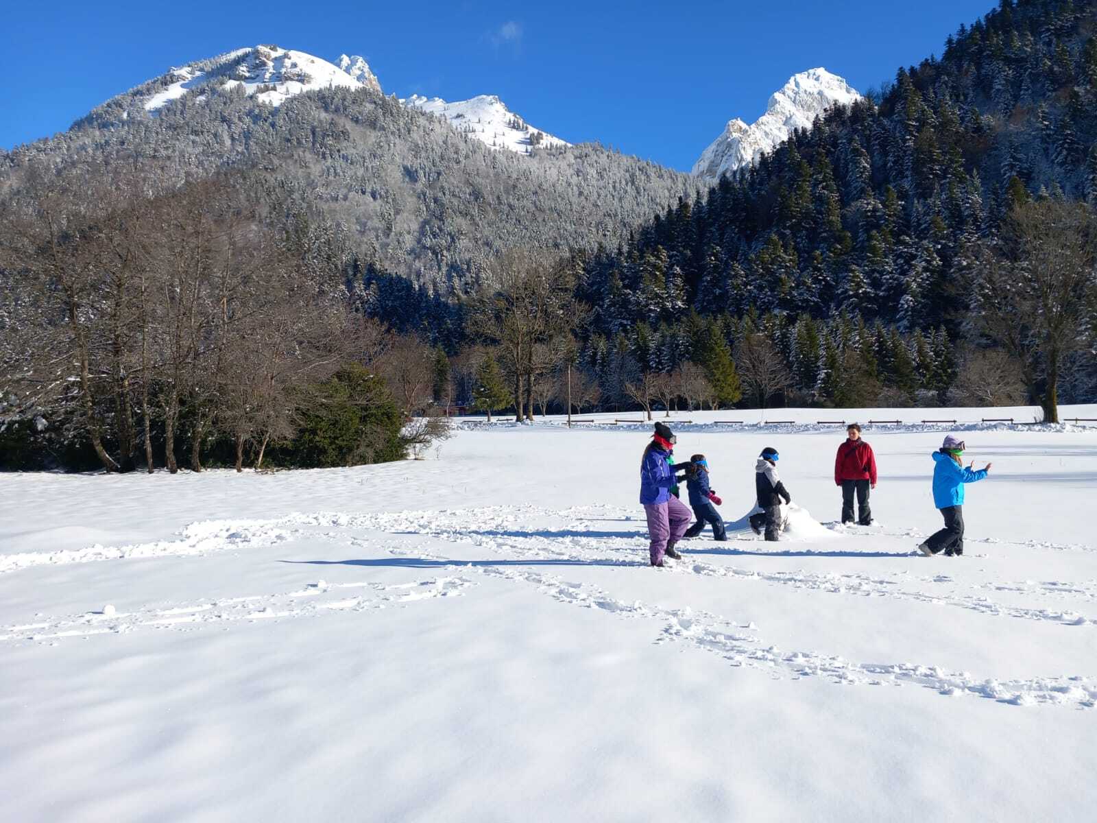 Classe découverte 1-2026