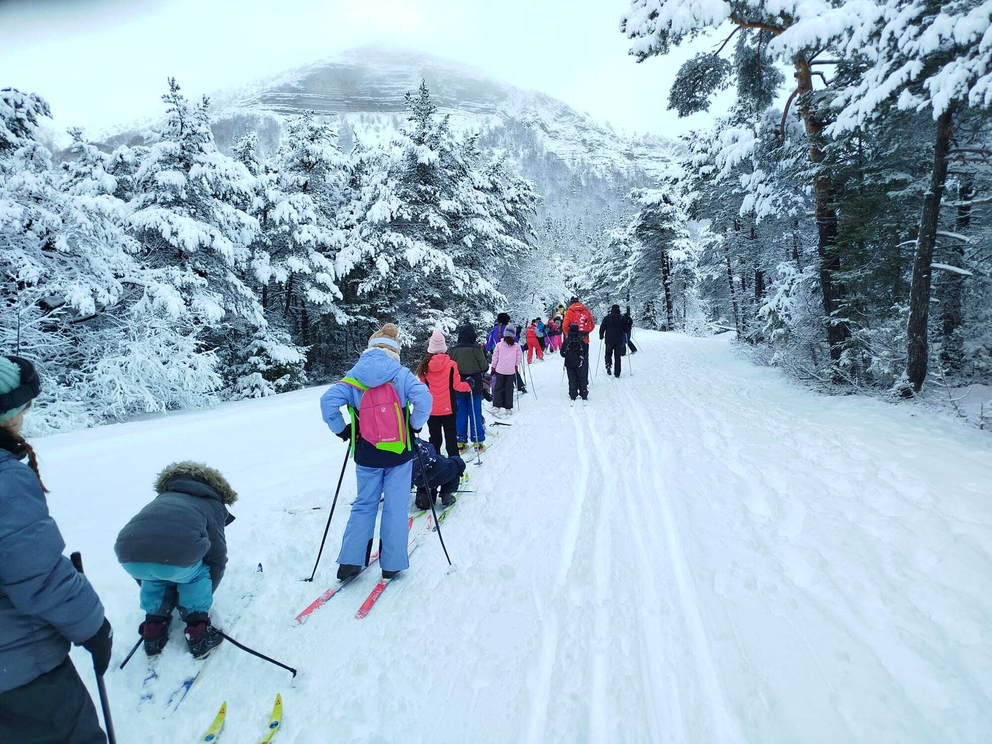 Classe découverte 3-2026