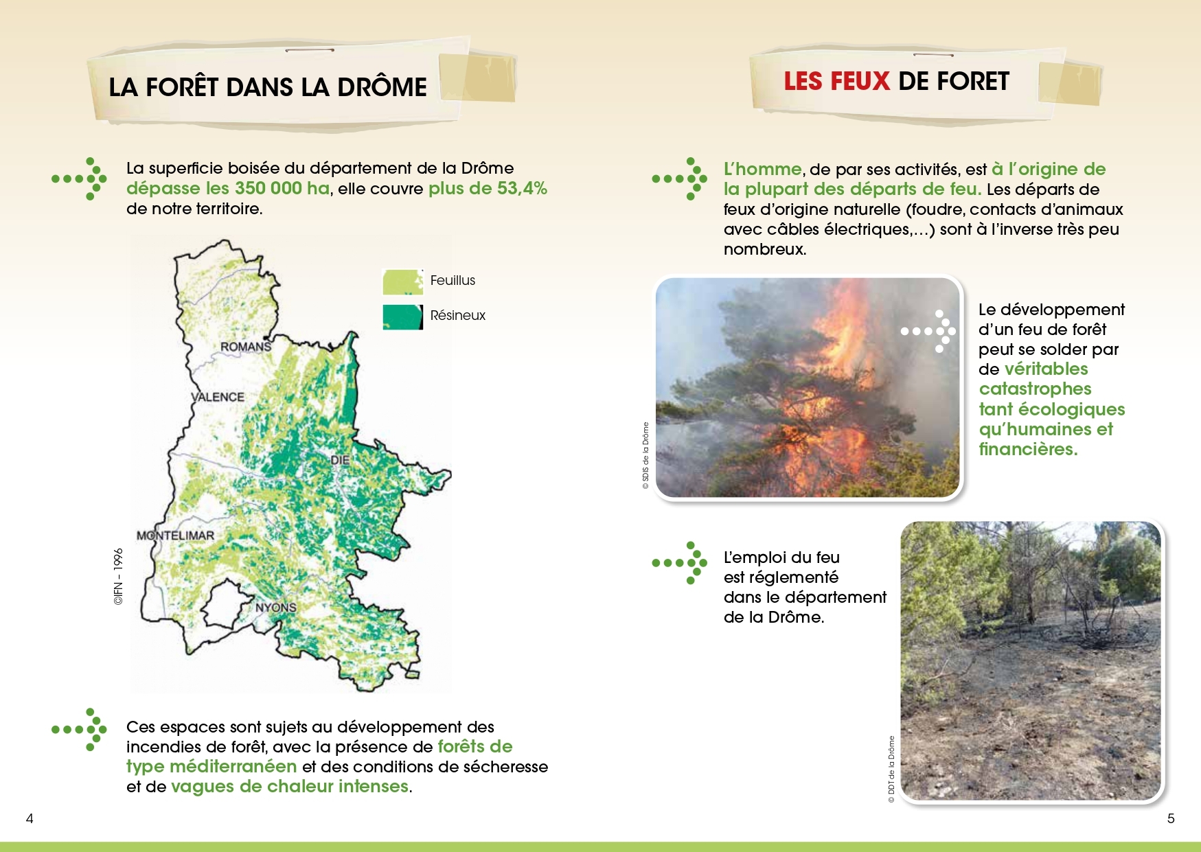 Débroussaillement 2025-3