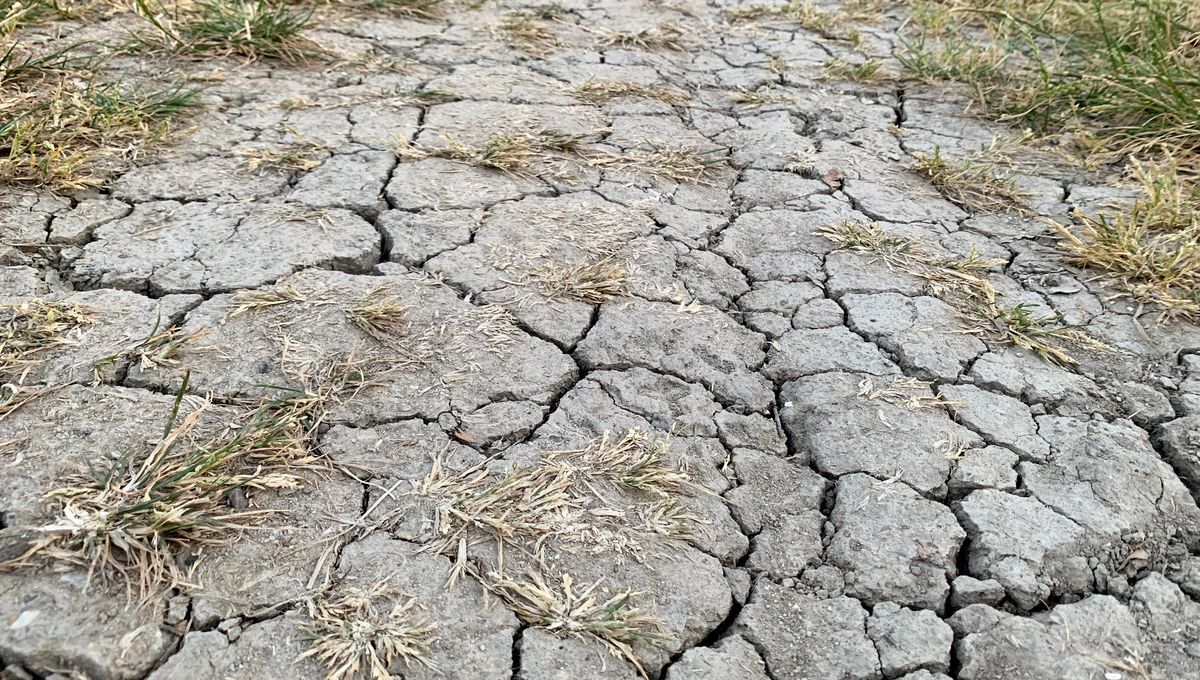 Sécheresse catastrophe naturelle