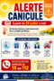 Canicule 29.07.26