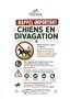 Chien en divagation