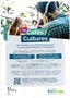 GIP cafés cultures